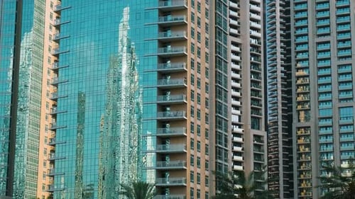 Modern Highrise Buildings with Reflective Glass Facades and Palm Trees in the Foreground in Dubai
