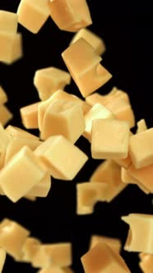 Maasdam Cheese Flies Up and Falls Down on a Black Background Filmed on a Highspeed Camera at 1000