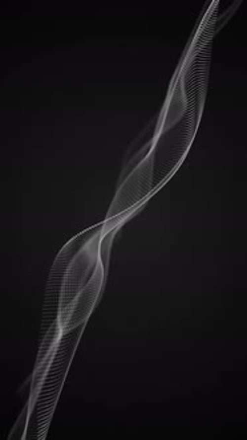 Minimalist Black and White Fractal Wave Background