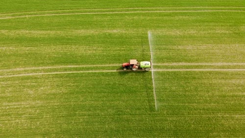 Spraying Herbicides and Pesticides on Green Wheat Field with Tractor