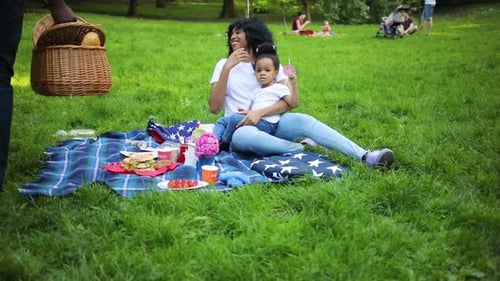 Family Picnic in the Park on a Sunny Day