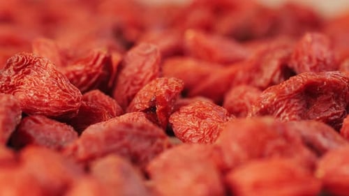 Close Up of Bright Red Goji Berries
