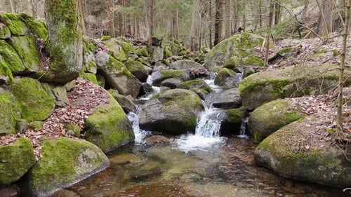 Ein Gebirgsbach mit kristallklarem, kühlem Quellwasser fließt zwischen Steinen und Felsen in einer Pinie