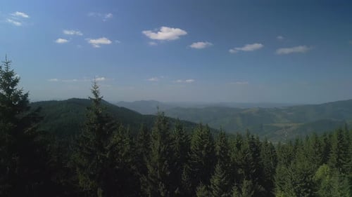 Flying Over Green Forest at Cloudy Day with the Mountains on Horizon with Glowing Clouds Carpathian