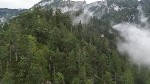 Light rain Wooded Hillside in Bavaria Germany Drone Aerial view