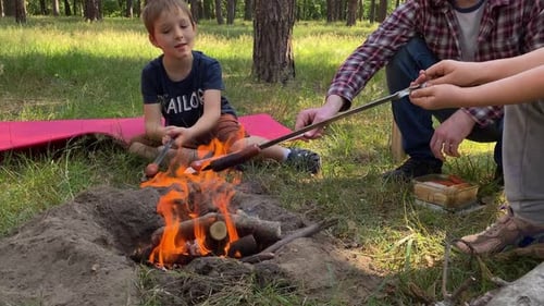 Family Cooking Sausages Over Campfire in Forest