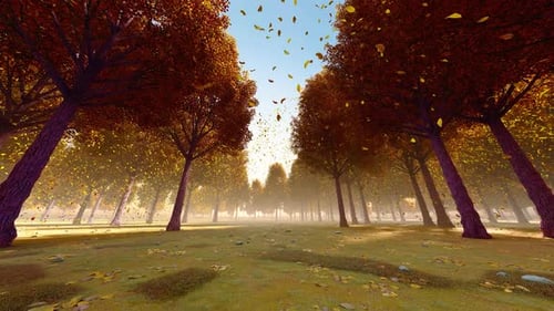 Falling Leaves In The Forest In Late Autumn