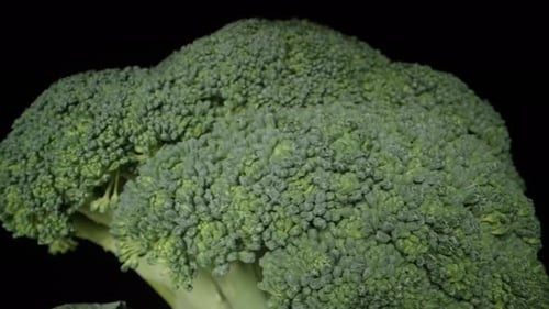 Broccoli inflorescences covered with water droplets, rotating on a black background, close-up.