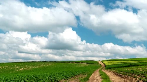 Rural landscape
