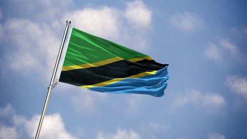 Realistic Flag Tanzania