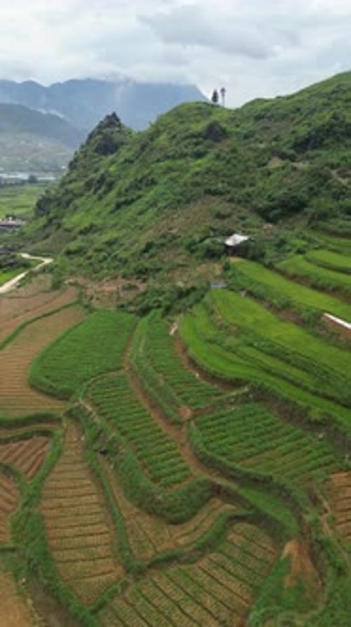 Luftaufnahme der grünen Berglandschaft, Vietnam.