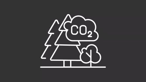 Animation de lignes blanches sur le carbone forestier
