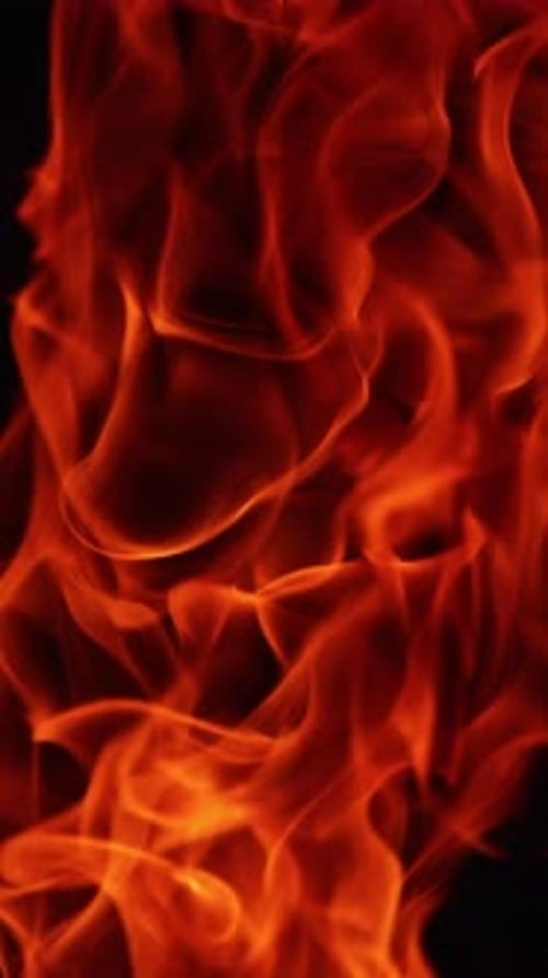 Brennendes Feuer auf schwarzem Hintergrund. Heiße rote Flammen bewegen sich in der Dunkelheit. Nahaufnahme. Vertikales Video