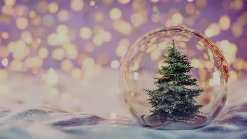 A Charming Christmas Tree Encased Within a Beautiful Glass Snow Globe That Sparkles