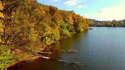 Ufer des schmalen Flusses, bewachsen mit bunten Bäumen