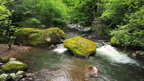 Drone Flies Over The River In The Forest. Beautiful Wild River Background
