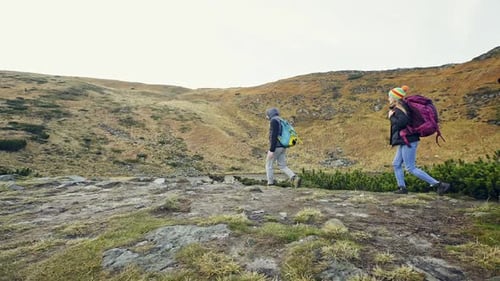 Hikers Explore Scenic Mountainous Landscape with Lake
