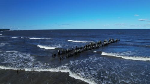 Scenic Ocean Shoreline with Wooden Posts in Water