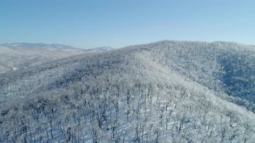 Aerial View on Winter Ice Covered Trees and Snowy Mountains Beautiful Winter Landscape