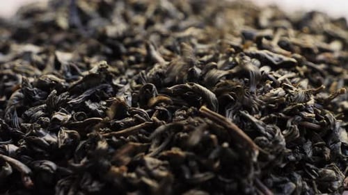 Fermented Green Tea Leaves Organic Healthy Drink Heap of Dry Green Tea