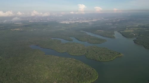 Ein grüner Wald, durch den ein Fluss fließt. Luftbild