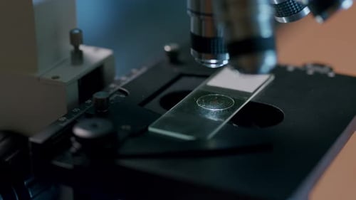 Young life scientist working with a professional microscope in the laboratory. Close-up shot of the