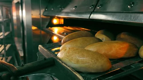 Frisch gebackene Brote im Industrieofen Goldene Brotlaibe, die in einem Kommerziell Ofen gebacken werden