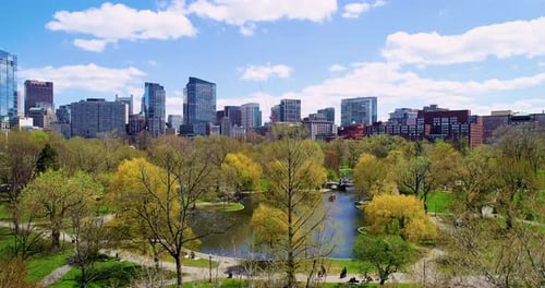Rising Drone Shot in Boston Public Garden