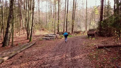 Man Running on a Forest Trail in Autumn Scenery. Jogging in the Woods. Sport Training Outside.