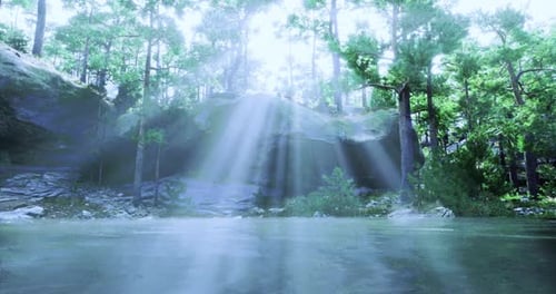 Light Filtering Through Trees Near Calm Water in a Serene Forest Setting