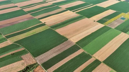 Aerial View of Agriculture Fields