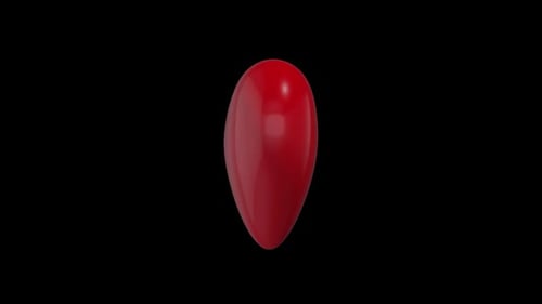 Glossy Red Heart Rotating 3D Animation
