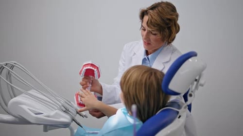 Dentist Showing Tooth Model to Child in Office