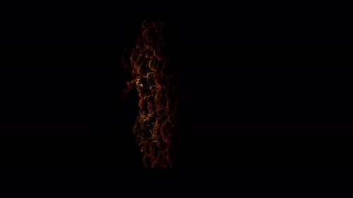Burn Collection: A vertical oriented shot of a burning ceiling framed in center of a black backgroun