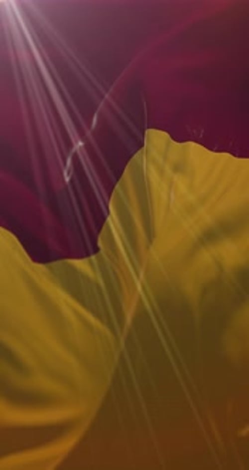 Rome Flag