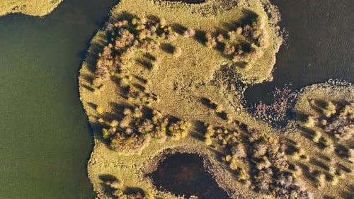 A drone view of the river on the field. An aerial view of an autumn landscape. Canada