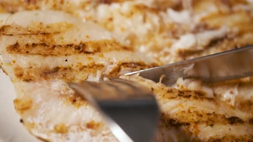 Close Up Video Cutting Tender Grilled Seasoned Hake Fillet