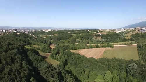 Deformed Forest and Fields