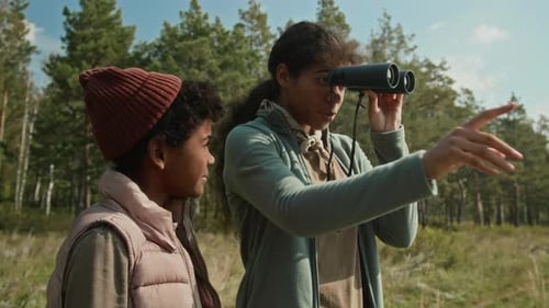Children Exploring Nature With Binoculars on Sunny Day