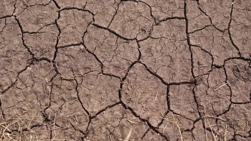 Cracked Dry Earth, Drought Conditions