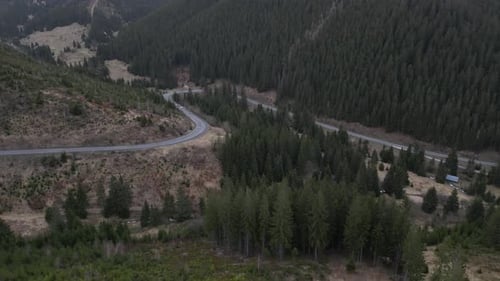 Scenic Mountain Road Through Evergreen Forest Aerial View