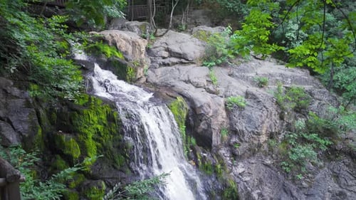 Ein fließender Wasserfall im Regenwald.