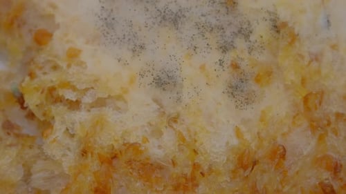 Fascinating decay time lapse of mold growth in a bread.