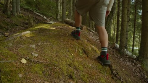 Active Couple Hiking in Forest Setting