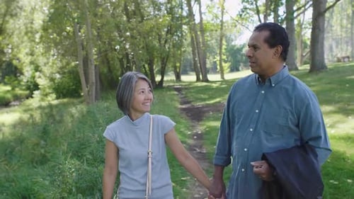 Happy Mature Couple Holding Hands and Walking in Sunny Park 4549 Years