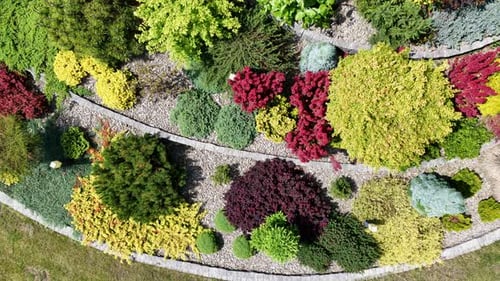 Aerial View of Colorful Landscaped Garden