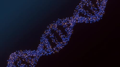 Zusammenfassung Dna Hd