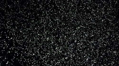 Arctic Collection: Snow falling very slowly and gently on the right side with blurry effect over a b