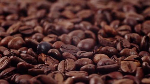 Roasted Coffee Beans Close Up Detail