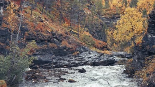 The mountain river cascades through the rocky canyon in the autumn forest.